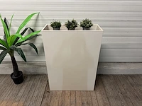 Plantenbak - afbeelding 2 van  10