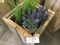 Plantenbakken gemaakt van gebruikt hout, 2 soorten. (10x) - afbeelding 3 van  3