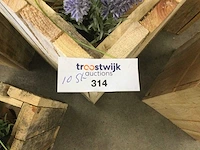 Plantenbakken gemaakt van gebruikt hout, 2 soorten. (10x) - afbeelding 3 van  3