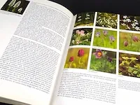 Plantenrijk - afbeelding 4 van  4