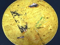 Plaque - afbeelding 5 van  5