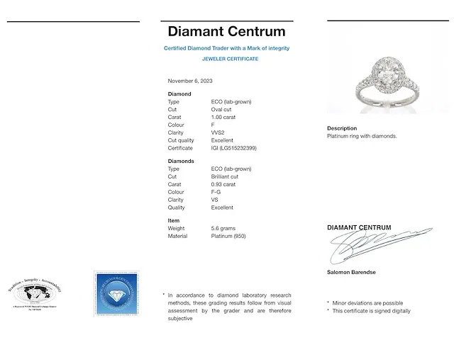 Platina entourage ring met 1.00 carat ovaal geslepen diamant en briljant diamanten - afbeelding 4 van  10