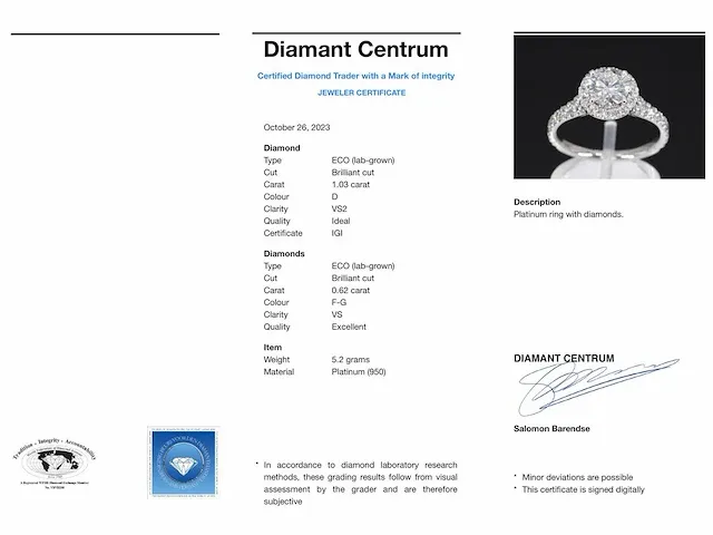 Platina entourage ring met 1.65 carat briljant diamanten - afbeelding 9 van  9