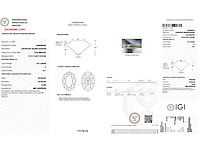 Platina ring met 3,84 crt. diamant - afbeelding 2 van  8
