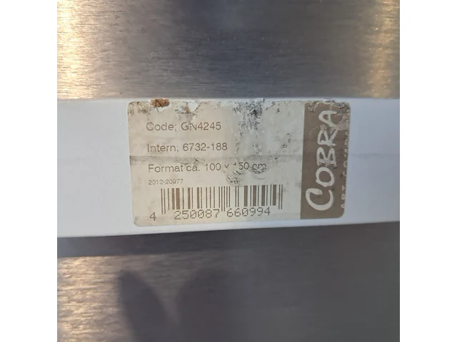 Plexiglas schilderij, cobra art company, gn4245 - afbeelding 6 van  6