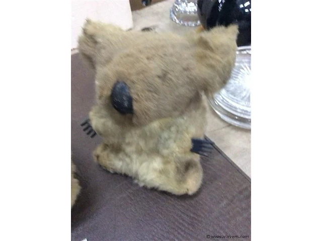 Pluche ( australië ) - afbeelding 4 van  4
