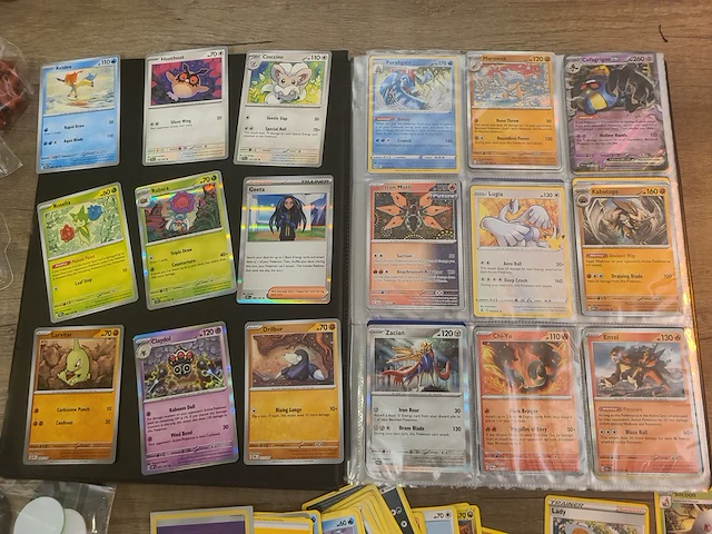 Pokémon collectie met vele kaarten en accessoires van pokémon + zeldzame japanse eevee kaart - afbeelding 2 van  22