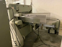 Polar mohr - 92 em - guillotineschaar - afbeelding 8 van  12