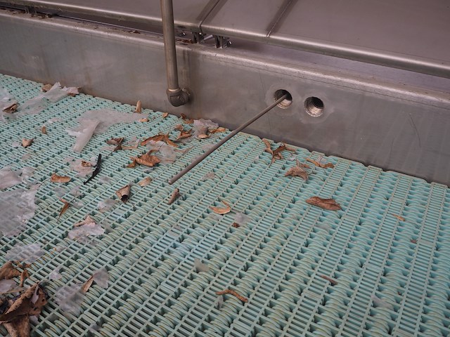 Polar systems - afbeelding 15 van  15