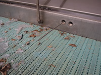 Polar systems - afbeelding 15 van  15