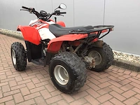 Polaris phoenix 200 quad - afbeelding 5 van  12