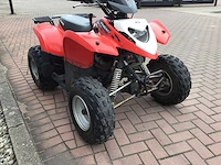 Polaris phoenix 200 quad - afbeelding 7 van  12