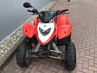 Polaris phoenix 200 quad - afbeelding 8 van  12
