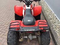 Polaris phoenix 200 quad - afbeelding 9 van  12