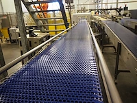 Polyketting - afbeelding 10 van  13