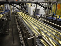 Polyketting - afbeelding 3 van  19