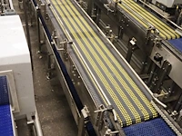 Polyketting - afbeelding 14 van  19