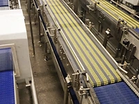 Polyketting - afbeelding 18 van  19