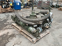 Pompunit - afbeelding 3 van  9