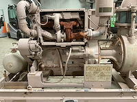 Pompunit - afbeelding 6 van  8