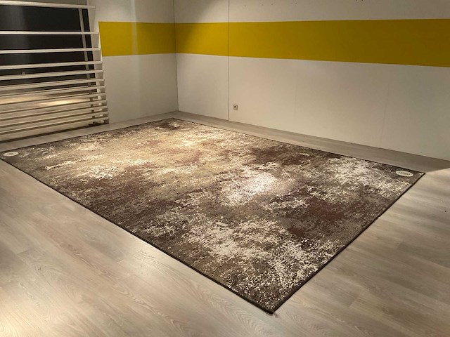 Ponsaerts daymi vloerkleed - afbeelding 1 van  10