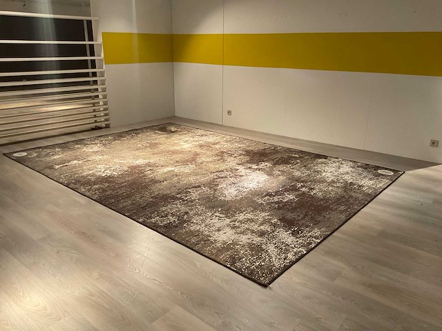 Ponsaerts daymi vloerkleed - afbeelding 3 van  10