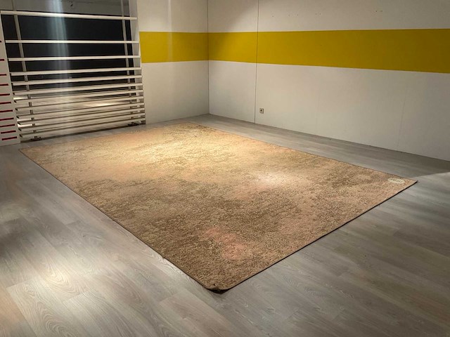 Ponsaerts daymi vloerkleed - afbeelding 1 van  11