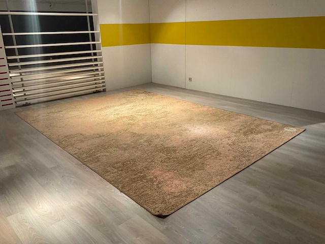 Ponsaerts daymi vloerkleed - afbeelding 4 van  11