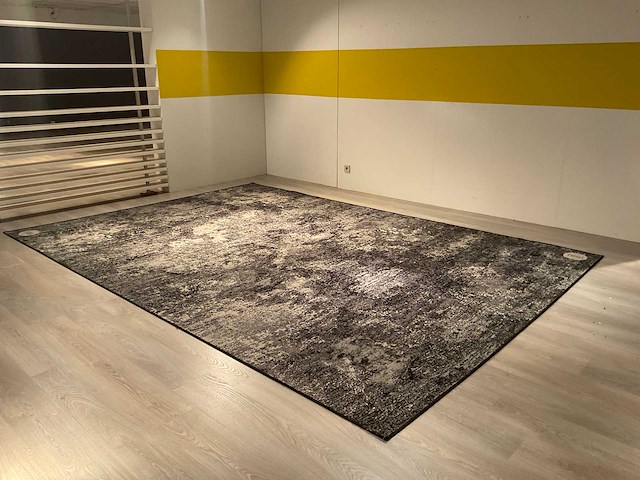 Ponsaerts daymi vloerkleed - afbeelding 1 van  11