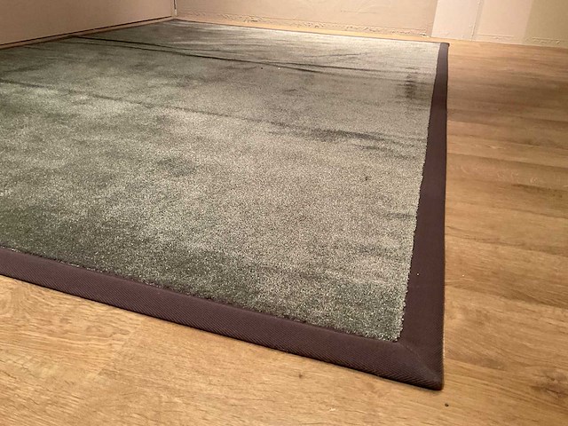 Ponsaerts express vloerkleed - afbeelding 9 van  10