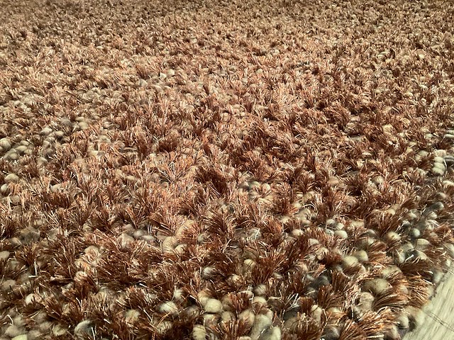 Ponsaerts tracodero vloerkleed - afbeelding 12 van  12