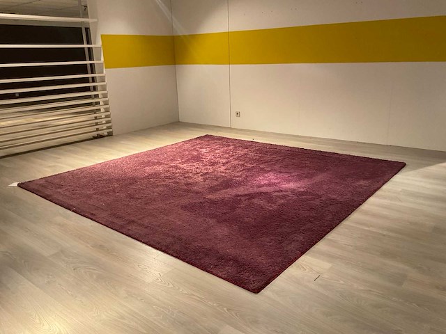 Ponsaerts vloerkleed - afbeelding 2 van  9