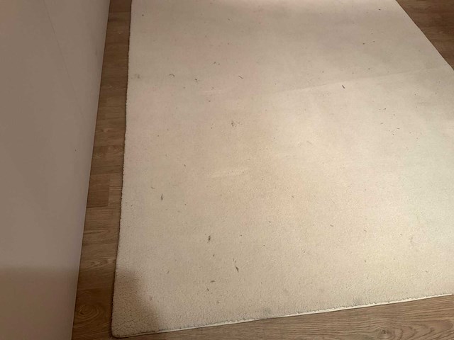 Ponsaerts vloerkleed - afbeelding 3 van  9