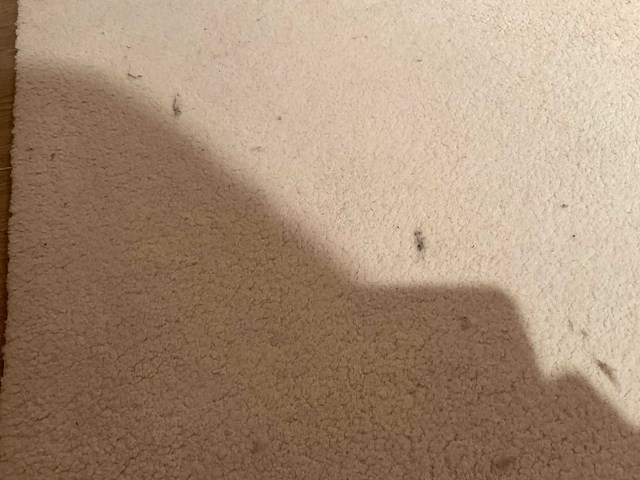 Ponsaerts vloerkleed - afbeelding 7 van  9