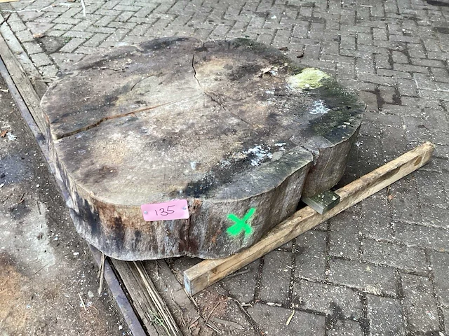 Populier - diameter 1170x1000 mm - populier - afbeelding 1 van  4