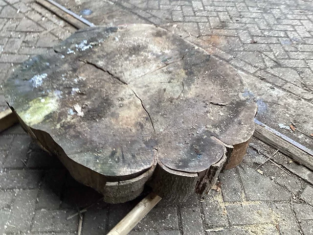 Populier - diameter 1170x1000 mm - populier - afbeelding 4 van  4