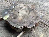 Populier - diameter 1170x1000 mm - populier - afbeelding 4 van  4