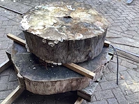 Populier diameter 830 mm en 1100 mm boomstamschijf (2x) - afbeelding 4 van  5