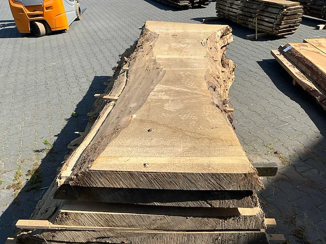 Populier schaaldeel oven gedroogd (80mm) (7x) - afbeelding 5 van  6
