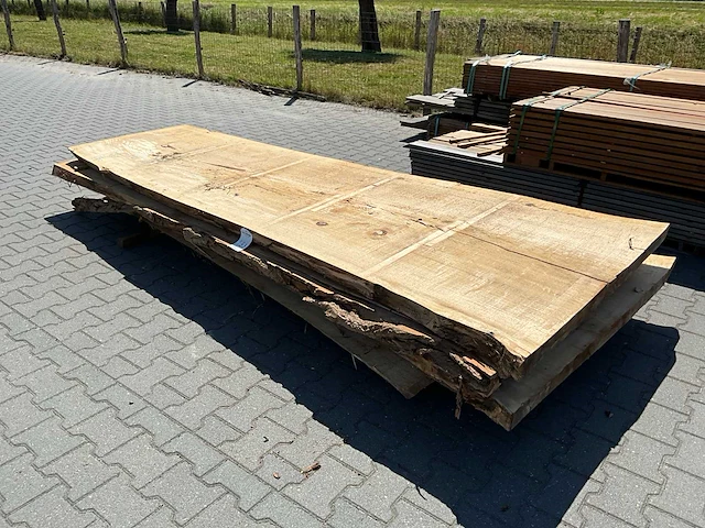Populier schaaldelen ovengedroogd (3x) - afbeelding 4 van  6