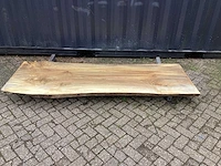 Populier - afbeelding 2 van  8