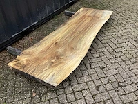 Populier - afbeelding 3 van  8