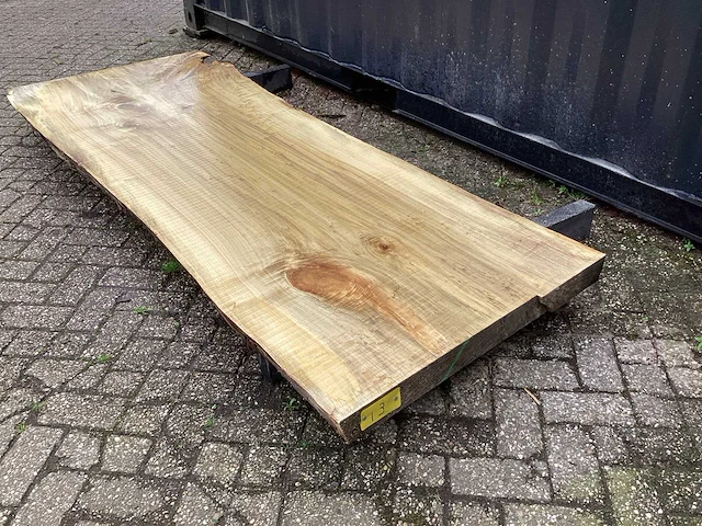 Populier - afbeelding 1 van  8