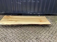 Populier - afbeelding 2 van  8