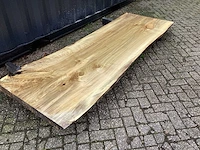 Populier - afbeelding 3 van  8