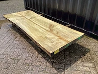 Populier - afbeelding 1 van  8