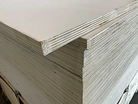 Populieren - multiplexplaat gelakt 250x122x1,5 cm (10x) - afbeelding 5 van  7