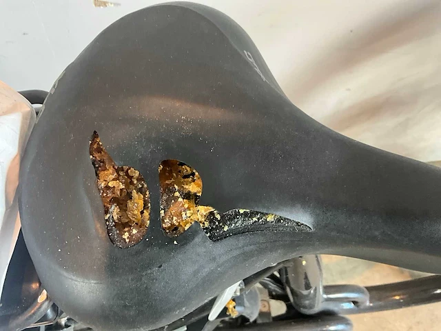 Postbike elektrische fiets - afbeelding 4 van  12