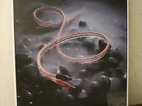 Poster "killer cable" in lijst - 60x2x77cm - afbeelding 1 van  1
