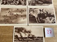 Postkaarten - afbeelding 1 van  5